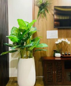 Đại phú gia
