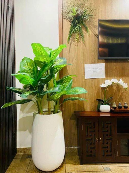 Đại phú gia