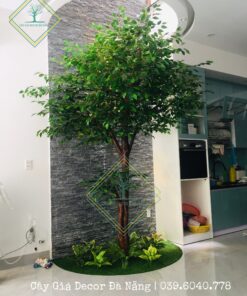 Cây Lá Xanh Cao 3m