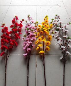 Hoa Đào Cành